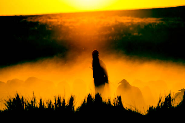 istock Sunset nature and shepherd. Sunset nature background. Sheeps and shepherd silhouette. 1180281715