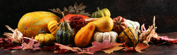 istock Diverse assortment of pumpkins on a dark rustic background. Autumn harvest 1180282709
