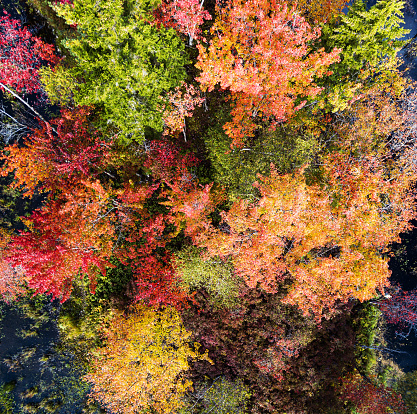 A view from above as autumn shows itself in wisconsin usa
