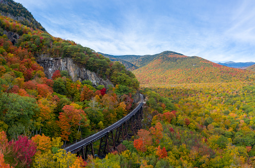 Colorful Fall Foliage in Mountains (Aerial View)
