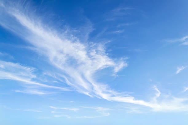 푸른 하늘에 높은 반투명 공기 순환 구름. 구름 종과 품종. 대기 현상. 화창한 날에 스카이 스케이프. - cirrus cloud cloudscape stratus 뉴스 사진 이미지