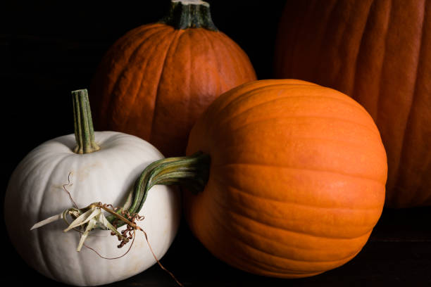 istock Rustic Grouping of Whole Pumpkins 1180288193