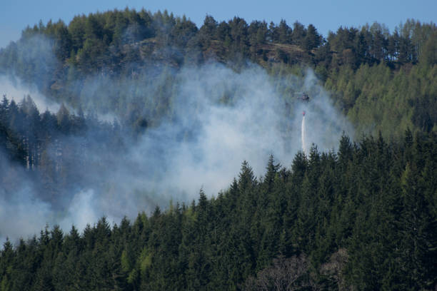 aerial strażacy- śmigłowiec spada wody do estinguish pożaru lasu - fire retardant zdjęcia i obrazy z banku zdjęć