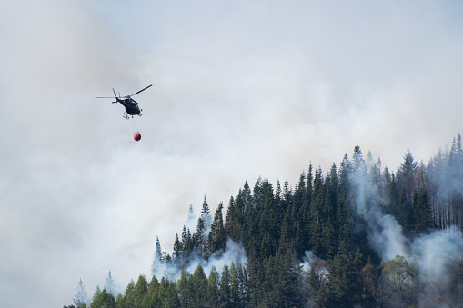 Aerial Firefighters- Helicopter dropping water to estinguish forest fire
