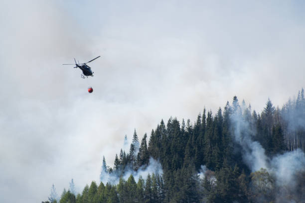 воздушные пожарные- вертолет снижается вода, чтобы estinguish лесной пожар - rescue helicopter outdoors occupation стоковые фото и изображения