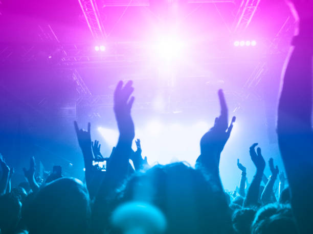 istock Music festival crowd 1180295598