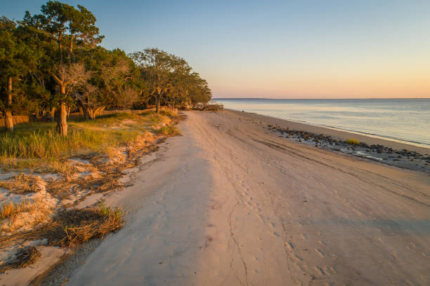 widok z lotu ptaka na plażę georgia - jekyll island zdjęcia i obrazy z banku zdjęć