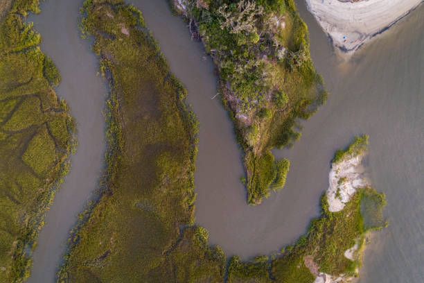 istock Overhead View of Coastal Georgia Marsh 1180304426