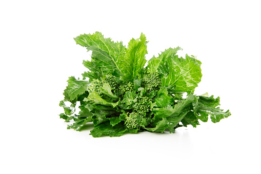 Fresh broccoli Rabe isolated on a white background