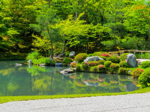 giardino zen a kyoto, giappone - kinkaku ji temple foto e immagini stock