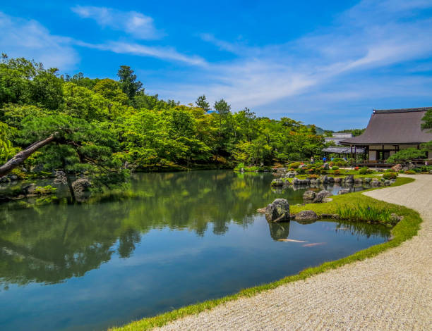 giardino zen a kyoto, giappone - kinkaku ji temple foto e immagini stock