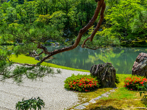 Kyoto, Japan - May 27, 2015: View of the Zen Garden of Tenryu-ji, Heavenly Dragon Temple.