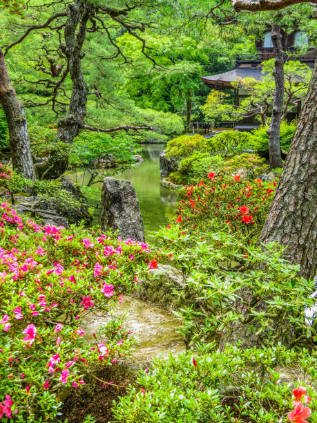 сад дзен - kyoto city kyoto prefecture kinkaku ji temple temple стоковые фото и изображения