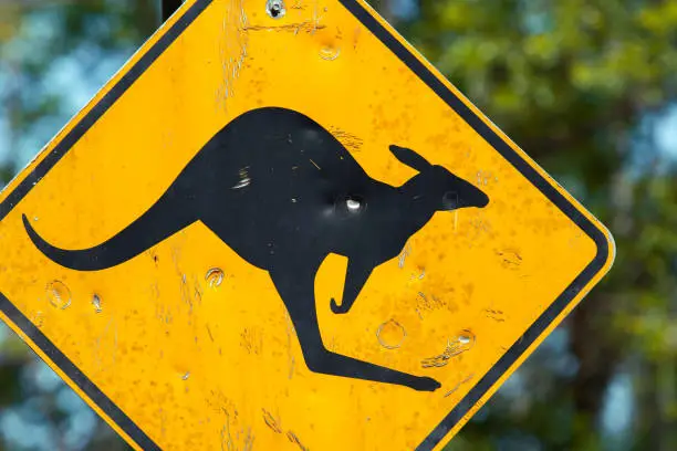 Damaged yellow kangaroo warning sign closeup
