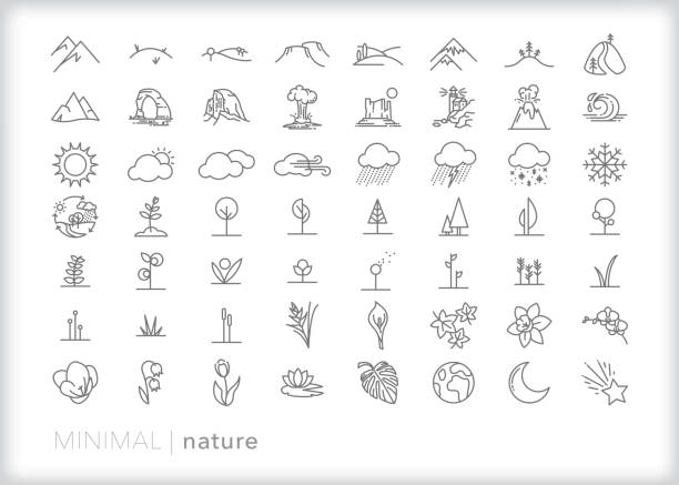 Set of more than 50 nature line icons of land, plants and weather 56 nature line icons of trees, flowers, mountains, landscapes, national park sites, flowers and weather rain symbols stock illustrations