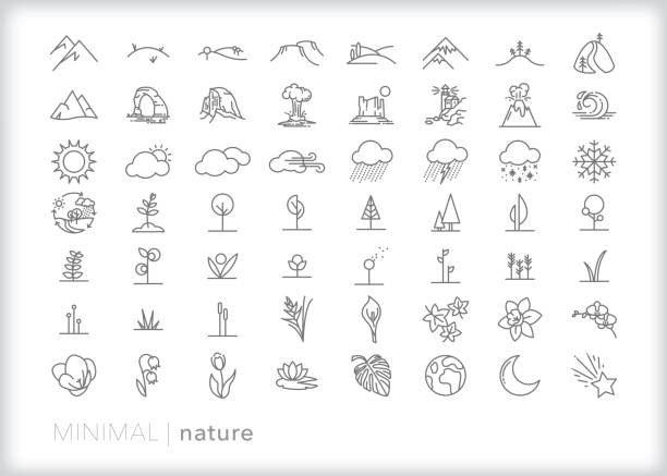 Set of more than 50 nature line icons of land, plants and weather 56 nature line icons of trees, flowers, mountains, landscapes, national park sites, flowers and weather mariposa county stock illustrations