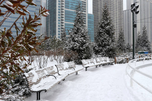 affectionate couple standing in winter landscape,perpective view,China.