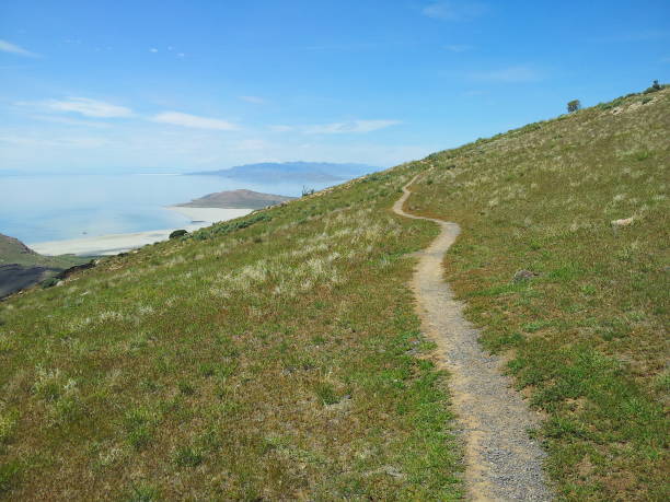 istock Frary Peak Trail, Antelope Island State Park, Utah 1180335599