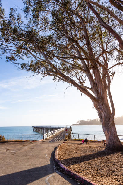 istock Simeon pier into the sea 1180335765