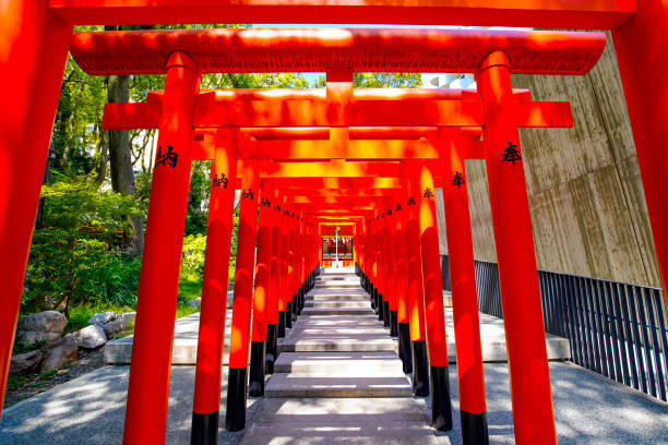 Ikuta Shrine jinja in Kobe, Japan Kobe,Japan - September 14, 2019: Blue sky day and Ikuta Shrine jinja.This shrine is a Shinto shrine in the Chuo Ward of Kobe, Japan, and is possibly among the oldest shrines in the country. motomachi kobe stock pictures, royalty-free photos & images