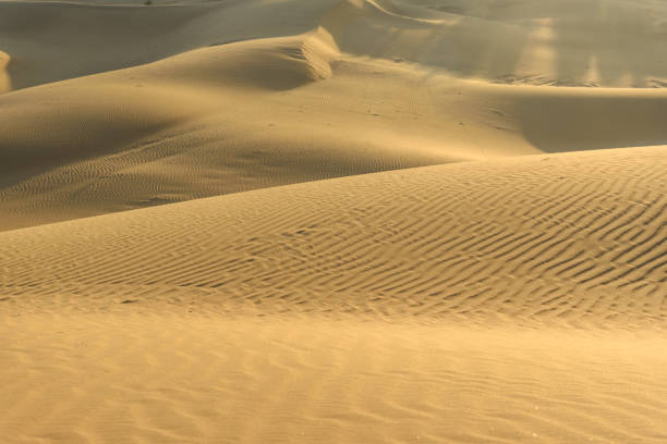 istock Sand dunes in Thar desert. Jaisalmer. India 1180344555