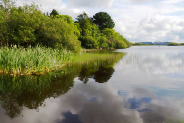 istock the surface of the Lough Corrib 1180346959