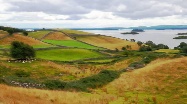 near Cornamona, Connemara, county Galway, Ireland, pictural effect