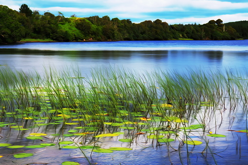 Ballynahinc lake, Connemara, county Galway, Ireland, pictural effect