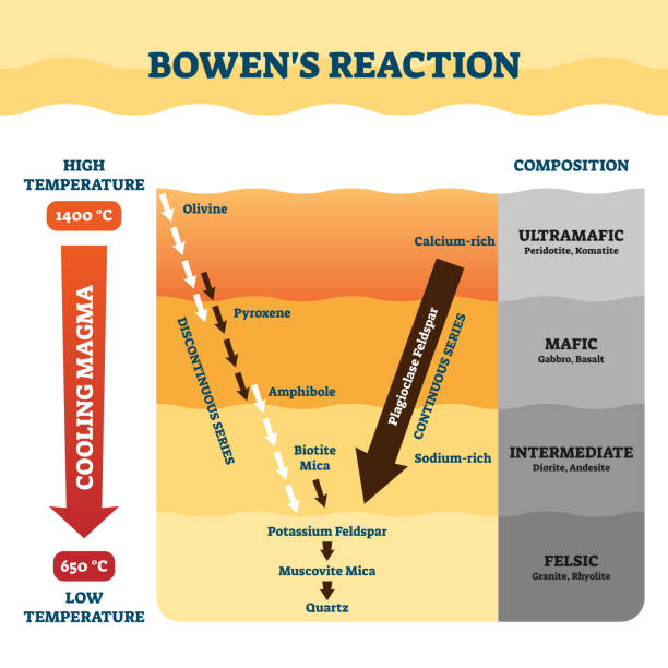 ilustrasi vektor reaksi bowens. penjelasan kerja petrologi berlabel. - diorit ilustrasi ilustrasi stok