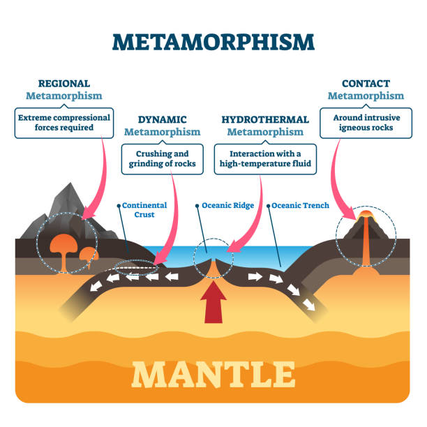 ilustrações de stock, clip art, desenhos animados e ícones de metamorphism vector illustration. labeled mineral geologic structure change - metamorphism