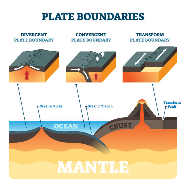 Plate boundaries vector illustration. Labeled tectonic movement comparison. vector art illustration