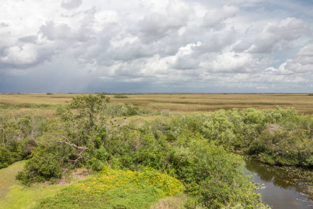 istock Everglades National Park 1180348234