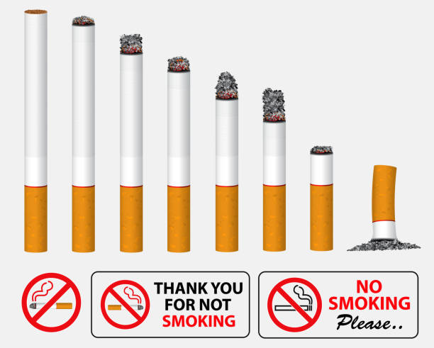 set of realistic cigarette smoldering in a line and no smoking sign. set of realistic cigarette smoldering in a line and no smoking sign. easy to modify stop narcotics stock illustrations