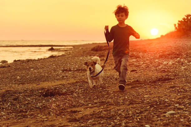 istock 5 years old kid and dog running at autumn beach with sunset sun behind them 1180360876