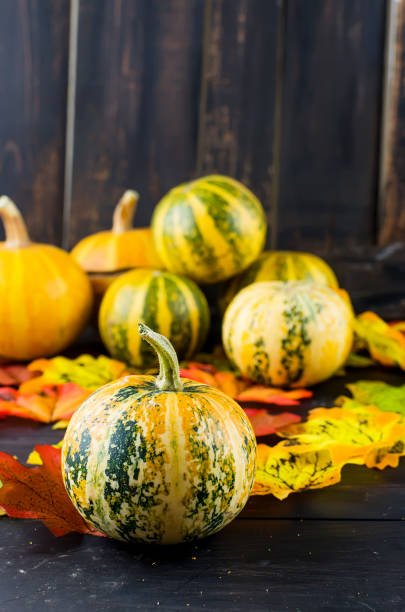 istock Autumn background with decorative mini pumpkins and fall leaves on a dark wooden table with copy space. 1180365435