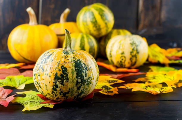 istock Autumn background with decorative mini pumpkins and fall leaves on a dark wooden table with copy space. 1180365533