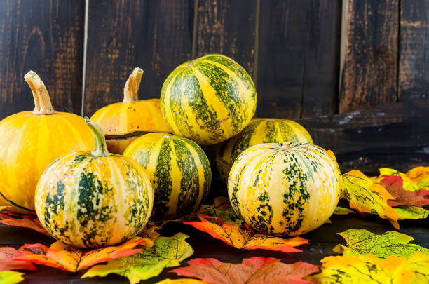istock Autumn background with decorative mini pumpkins and fall leaves on a dark wooden table with copy space. 1180365694