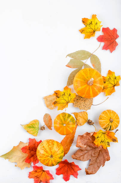 istock Decorative Mini raw pumpkins with fall dried leaves on white paper background, autumn concept, copy space 1180367370