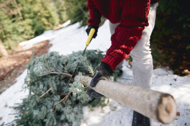 istock Really hot period during Christmas 1180376898