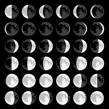 Moon phases in vector
