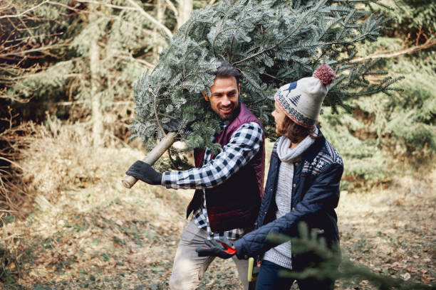 istock Father and son carrying fresh Christmas tree 1180377801
