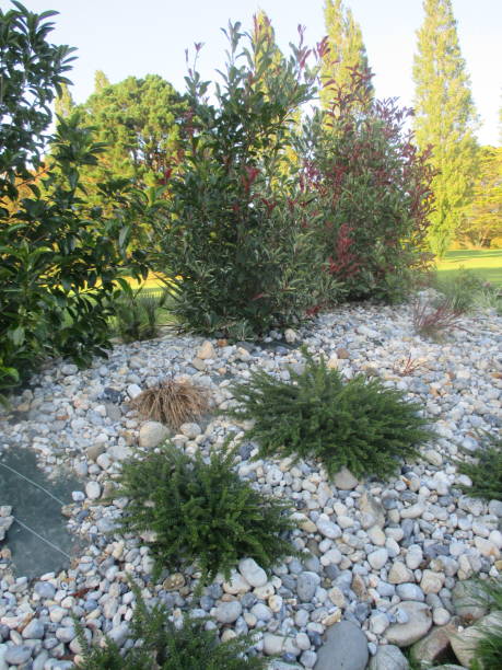 istock Massive rock garden with plants  Model garden 1180381499