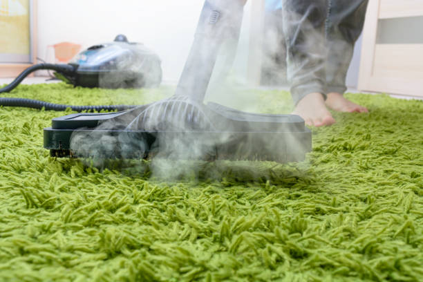 女性は蒸気洗浄でカーペットをきれいにします。ダニを取り除く - steam cleaning ストックフォトと画像