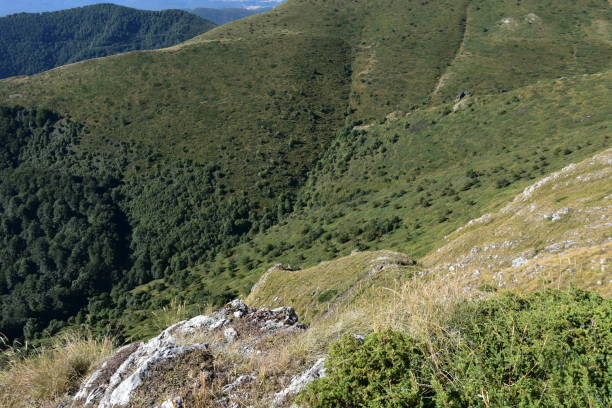 istock Stara Planina Mountain, Bulgaria 1180386687