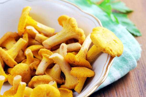 golden chanterelles mushrooms on bowl with parsley herb - hohe qualität imagens e fotografias de stock
