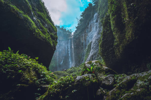 Inside the canyon of the Tumpak Sewu waterfall on Java Indonesia Aerial view deep inside the canyon of the Tumpak Sewu waterfall located in Java, Indonesia. The source of the waterfall comes from Semeru, an active volcano and the highest mountain in Java. bromo tengger semeru national park stock pictures, royalty-free photos & images