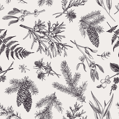 Christmas seamless pattern in engraving style. Vintage. Botanical background with coniferous plants, ferns and berries. Vector illustration. Black and white.