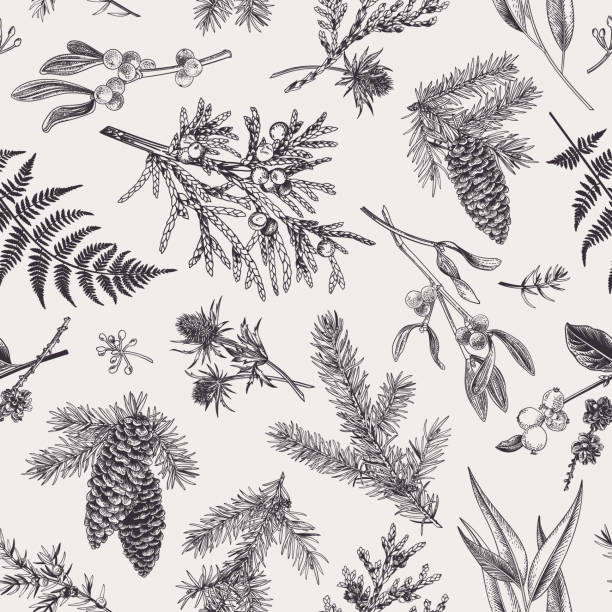 Christmas seamless botanical pattern. Christmas seamless pattern in engraving style. Vintage. Botanical background with coniferous plants, ferns and berries. Vector illustration. Black and white. fir tree illustrations stock illustrations