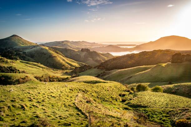 Views across Otago Peninsula, Harbour Cone and Hoopers Inlet at sunrise Views across Otago Peninsula, Harbour Cone and Hoopers Inlet at sunrise new zealand stock pictures, royalty-free photos & images