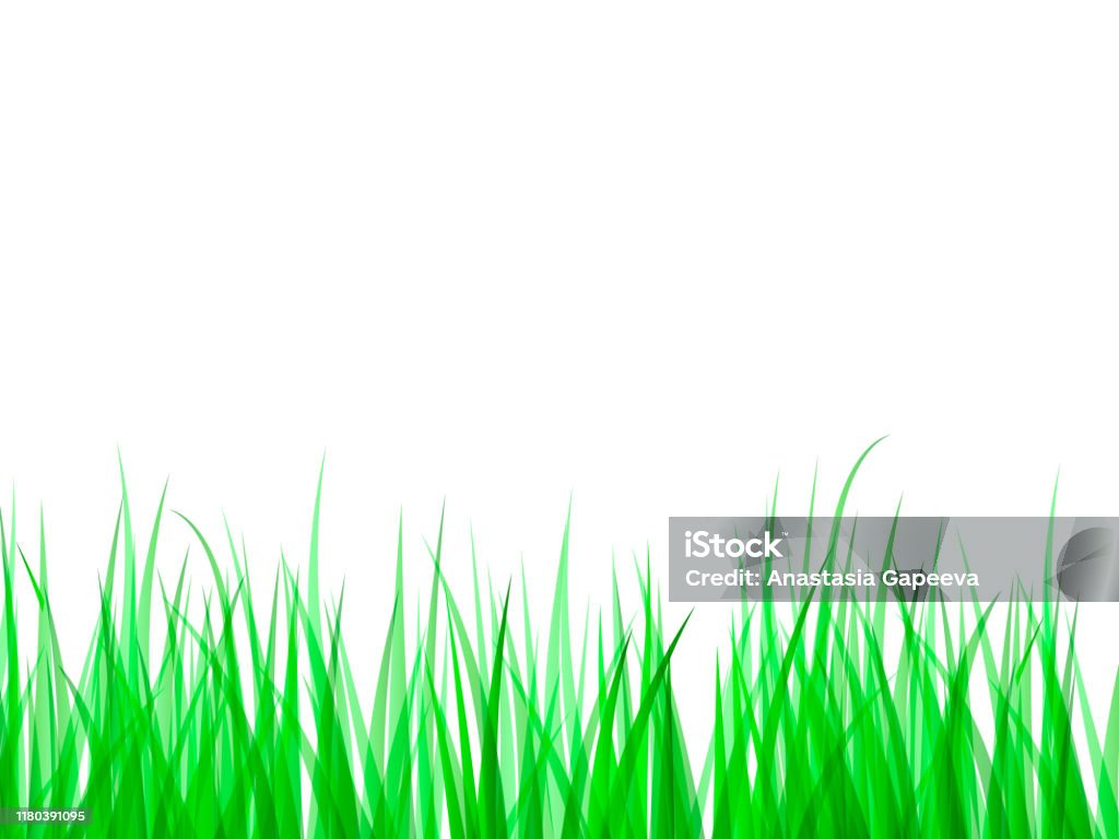 Green Grass Background Vector Illustration For Poster Stock Illustration -  Download Image Now - iStock